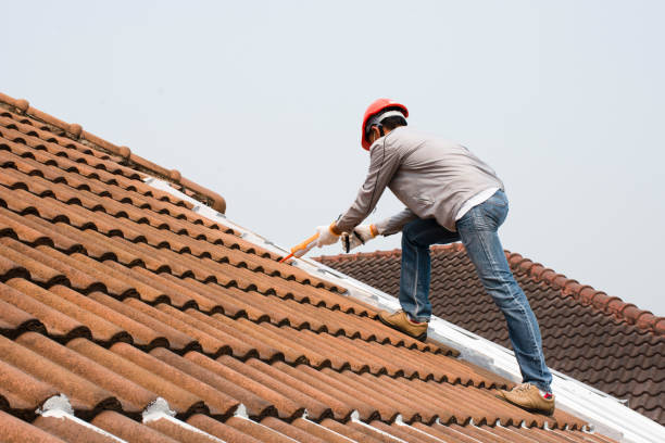 Best Emergency Roof Repair Services  in Robesonia, PA